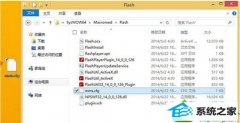 win10ϵͳ򿪹Flashҳּİ취
